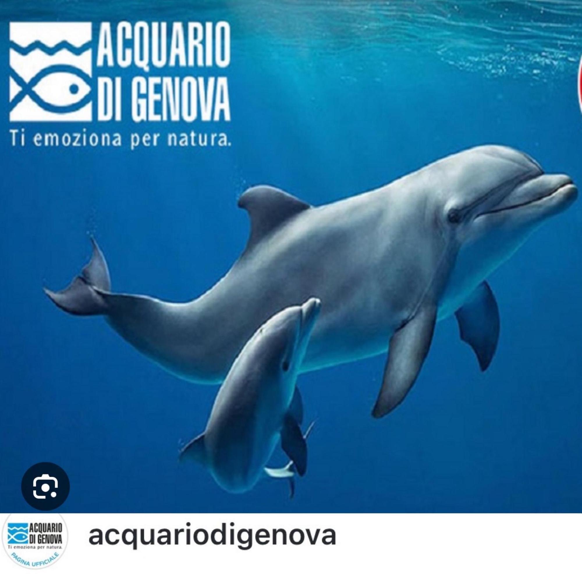 Casa Mia Sea&Center Villa Bogliasco Bagian luar foto